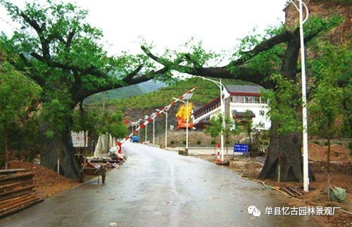 阜陽(yáng)生態(tài)園大門制作價(jià)格解析 假山藝術(shù)與成本考量